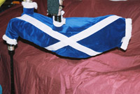 Bagpipes by bagpipecovers.com